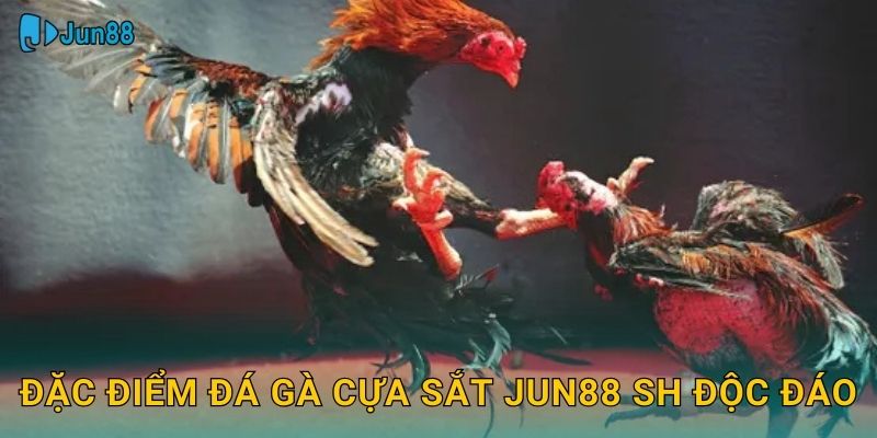 Đặc điểm đá gà cựa sắt jun88 sh độc đáo