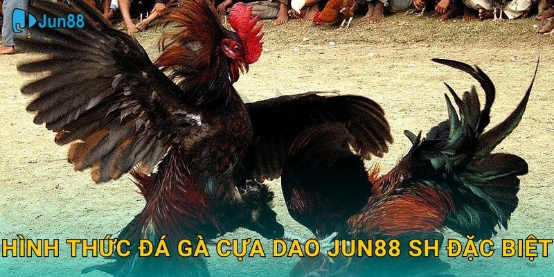 Hình thức đá gà cựa dao jun88 sh đặc biệt