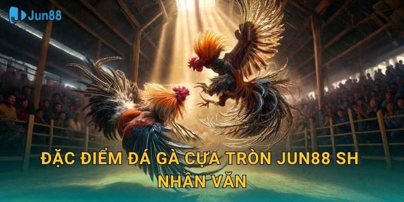 Đặc điểm đá gà cựa tròn jun88 sh nhân văn