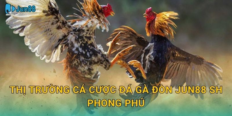 Thị trường cá cược đá gà đòn Jun88 Sh phong phú