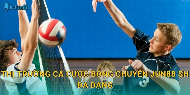 Thị trường cá cược bóng chuyền jun88 sh đa dạng