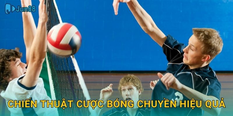 Chiến thuật cược bóng chuyền hiệu quả